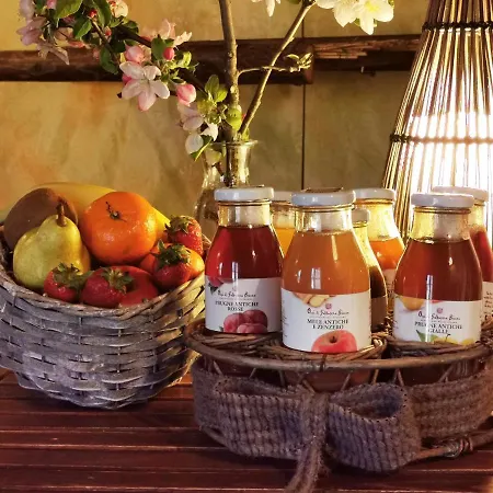 Oasi Galbusera Bianca Vakantieboerderij
